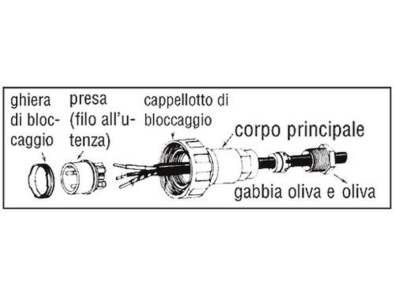 Presa e Spina Bulgin Buccaneer