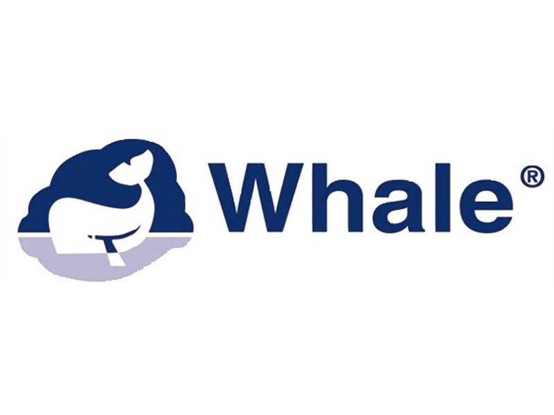 Pompa Whale Compact 50 a scomparsa 