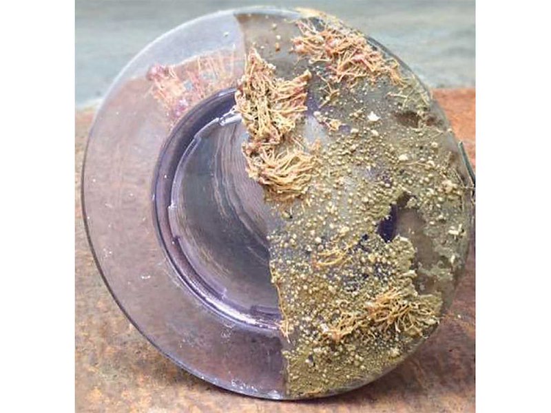 Vernice antiaderente siliconica per luci subacquee LIGHTSPEED by Oceanmax