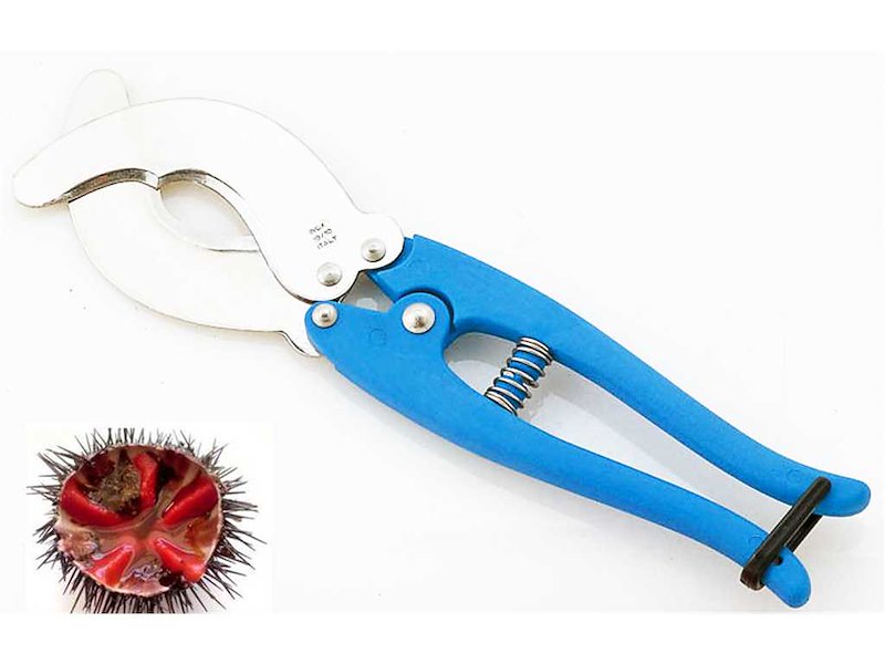 Forbici Taglia ricci in acciaio Inox