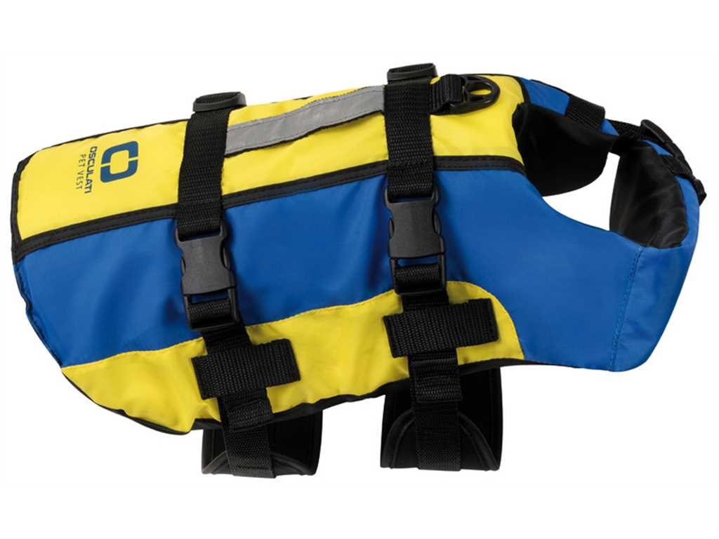 Cavalletto Magnetico Per Cani Kiwistar – Adesivo Magnetico Per Auto, Resistente Fino A 150 Km/h, Varie Dimensioni E Colori