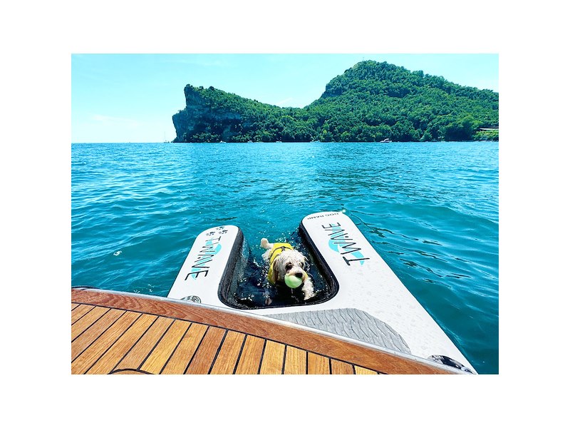 Rampa cani gonfiabile T-WAVE