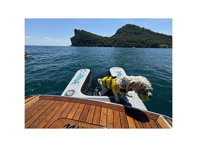 Rampa cani gonfiabile T-WAVE