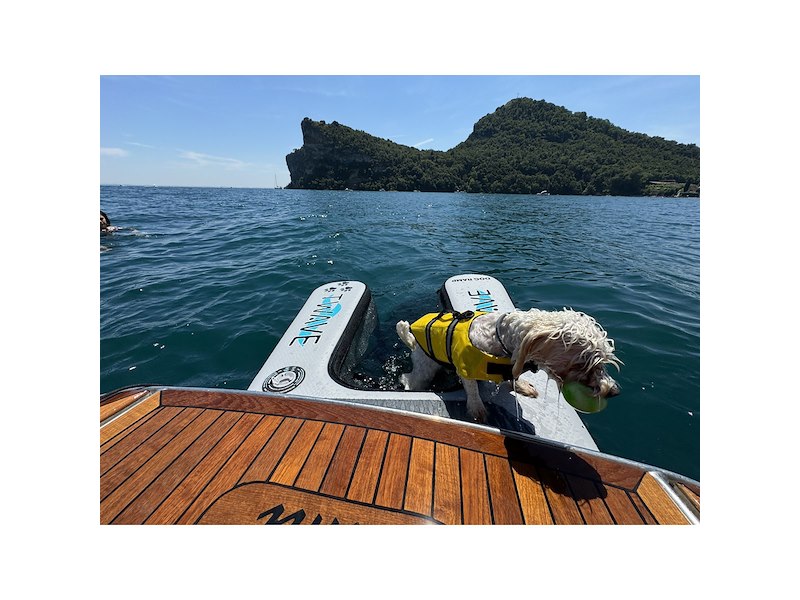 Rampa cani gonfiabile T-WAVE