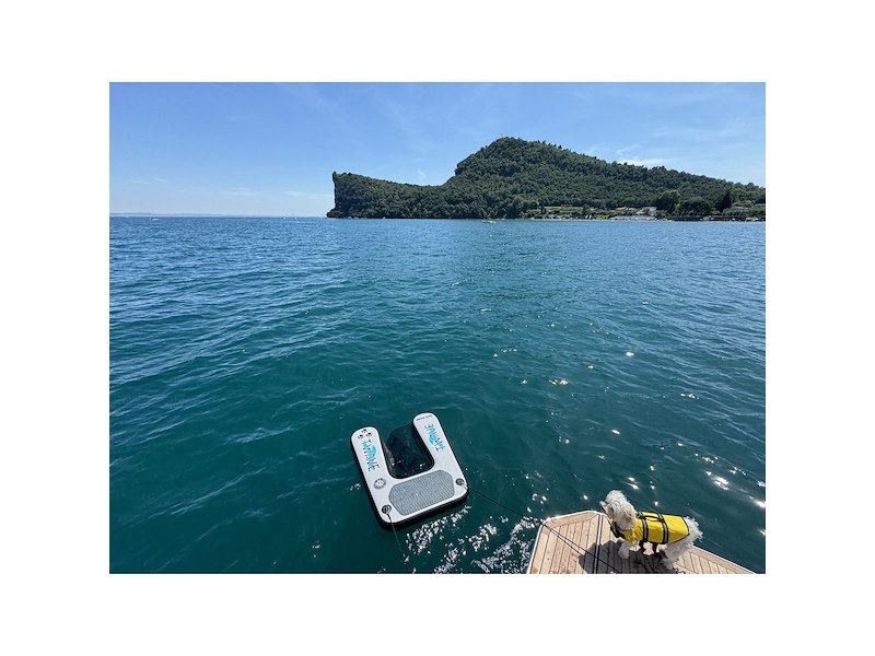 Rampa cani gonfiabile T-WAVE