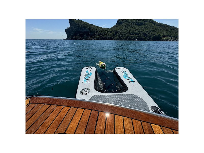 Rampa cani gonfiabile T-WAVE