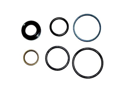 Kit riparazione pistone piede Volvo DPH - DP