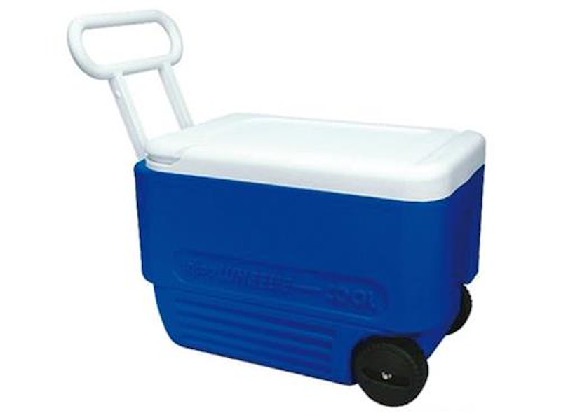 Ghiacciaia portatile IGLOO con ruote e maniglia