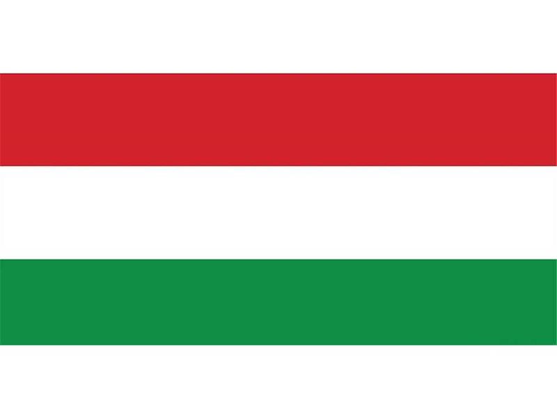 Bandiera Ungheria